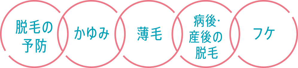 脱毛の予防/かゆみ/薄毛/病後・産後の脱毛/フケ